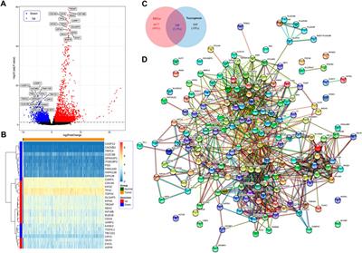 Immune infiltration and a necroptosis-related gene signature for predicting the prognosis of patients with cervical cancer